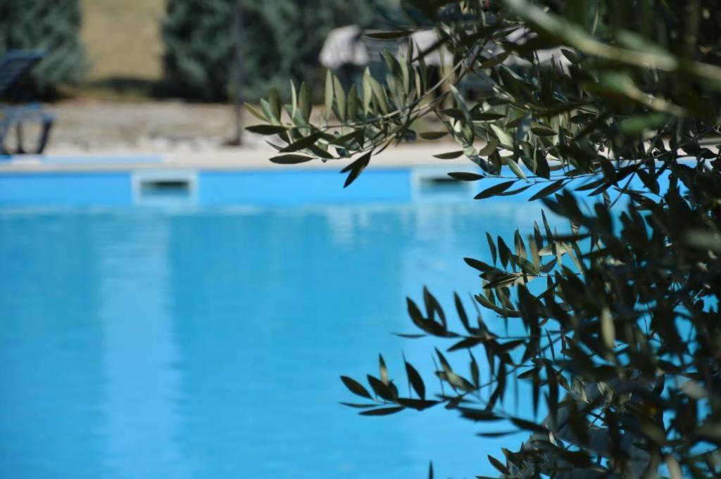 Apartments Agata Nova Vas  Екстер'єр фото
